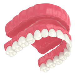 Prótesis Dental Removible Convencional